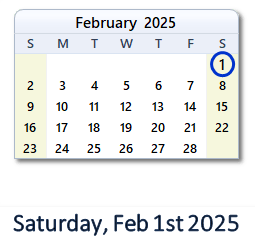 February 1, 2025 calendar