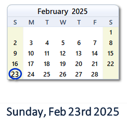 February 23, 2025 calendar