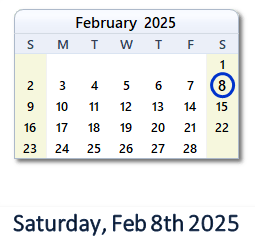 8 February 2025 calendar