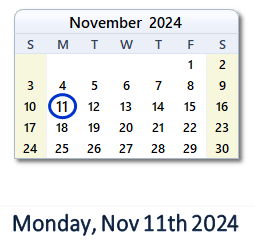 November 11, 2024 calendar