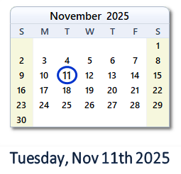 11 November 2025 calendar