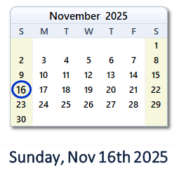 November 16, 2025 calendar
