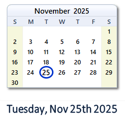 25 November 2025 calendar