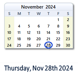 November 28, 2024 calendar
