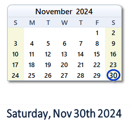 November 30, 2024 calendar