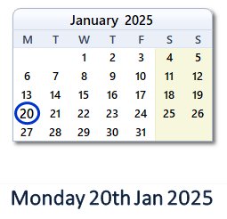 20 January 2025 calendar