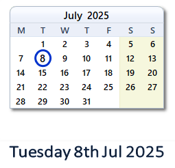 8 July 2025 calendar