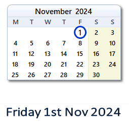 1 November 2024 calendar