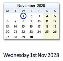 1 November 2028 calendar