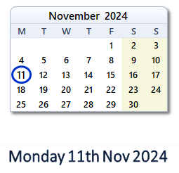 11 November 2024 calendar
