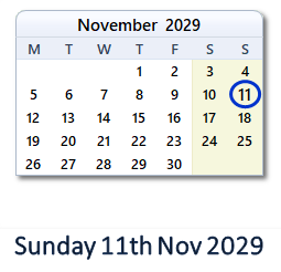 11 November 2029 calendar