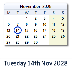 14 November 2028 calendar