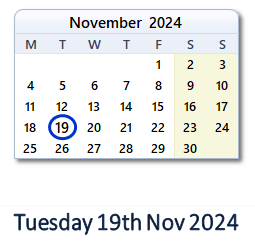 19 November 2024 calendar