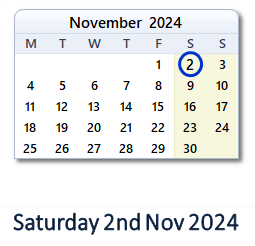 2 November 2024 calendar