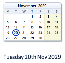 20 November 2029 calendar