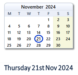 21 November 2024 calendar