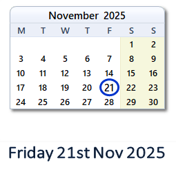 21 November 2025 calendar