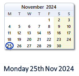 25 November 2024 calendar