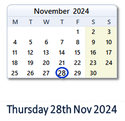 28 November 2024 calendar