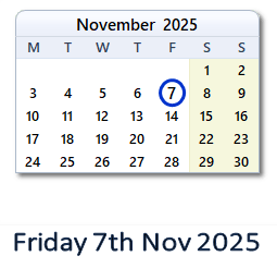 7 November 2025 calendar