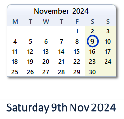 9 November 2024 calendar