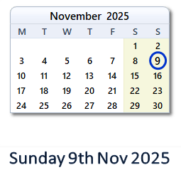 9 November 2025 calendar