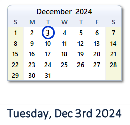 3 December 2024 calendar