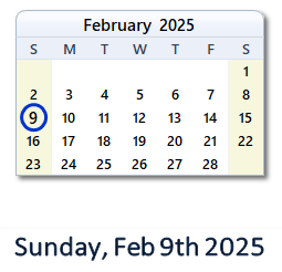 February 9, 2025 calendar