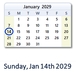 January 14, 2029 calendar