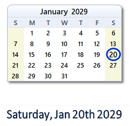 January 20, 2029 calendar