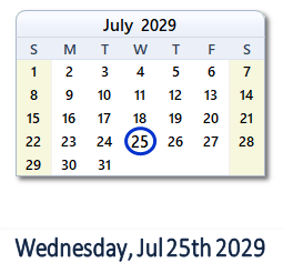 July 25, 2029 calendar