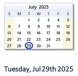 29 July 2025 calendar