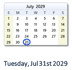 July 31, 2029 calendar