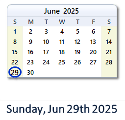 June 29, 2025 calendar