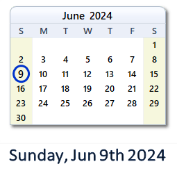 June 9, 2024 calendar