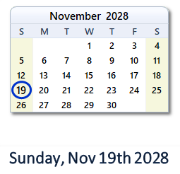 November 19, 2028 calendar