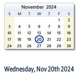 20 November 2024 calendar