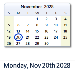 November 20, 2028 calendar