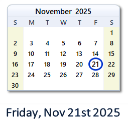 November 21, 2025 calendar