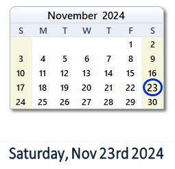 November 23, 2024 calendar