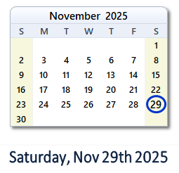 November 29, 2025 calendar