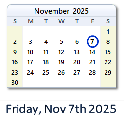 7 November 2025 calendar