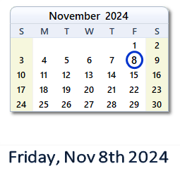 8 November 2024 calendar