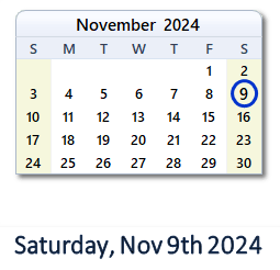 November 9, 2024 calendar
