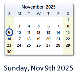 November 9, 2025 calendar