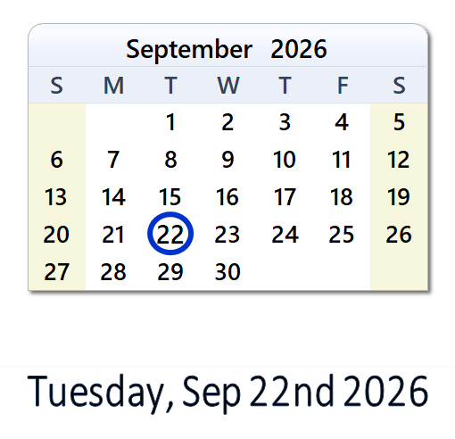 2026 visual data 2