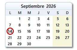 día de hoy