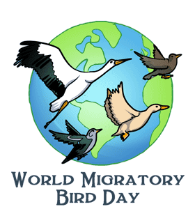 World Migratory Bird Day