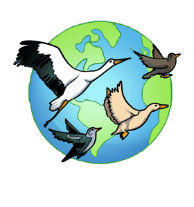 World Migratory Bird Day