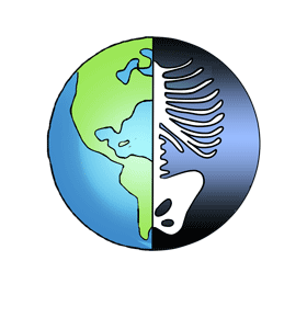 World Radiography Day